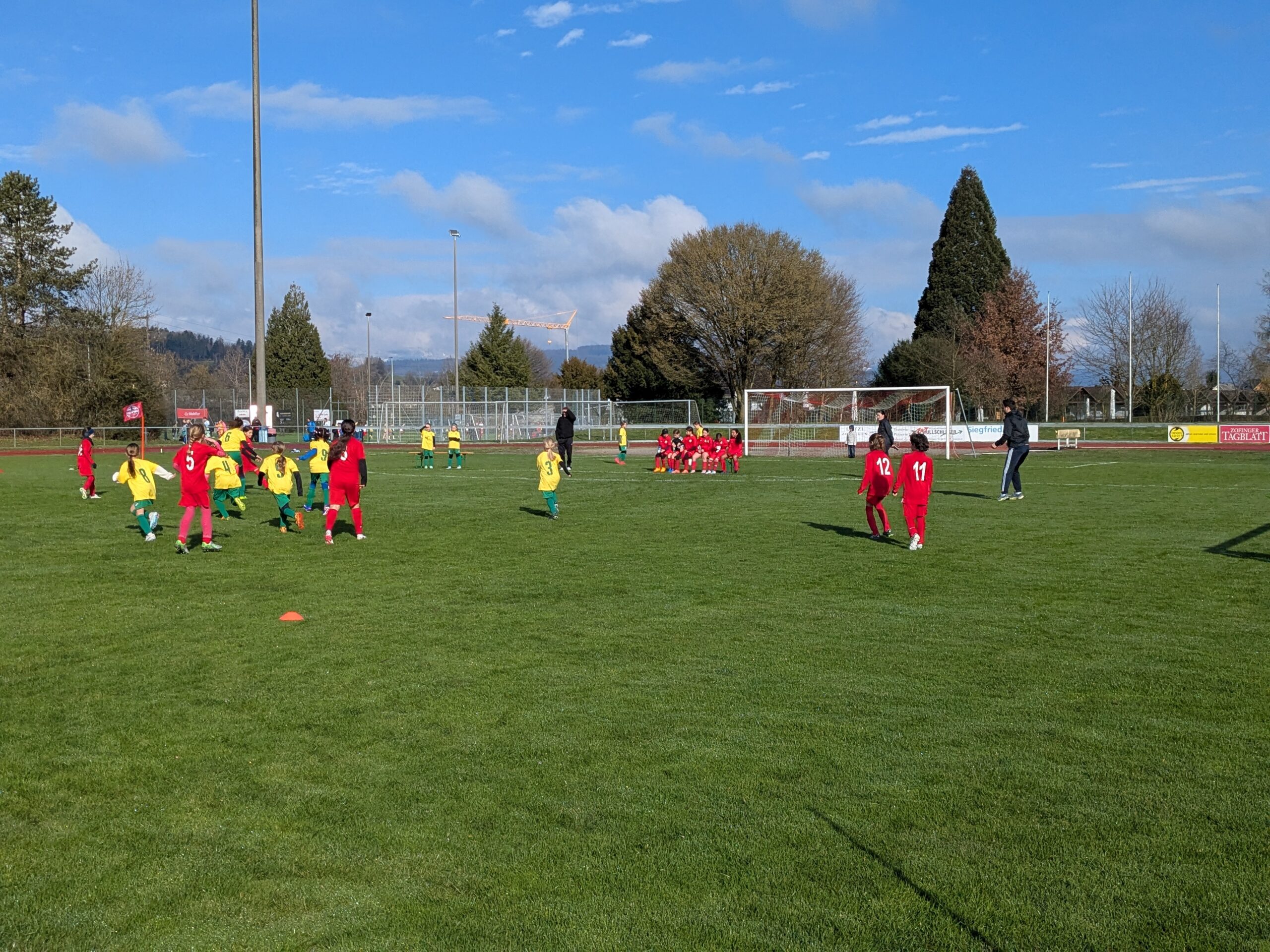 PXL_20260315_083122728